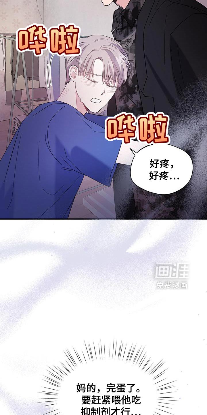 第30章：最好需要信息素