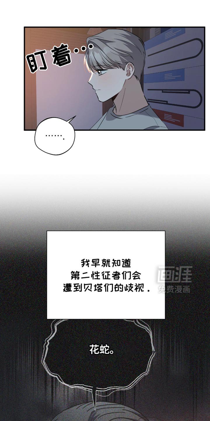 第41章：迷茫