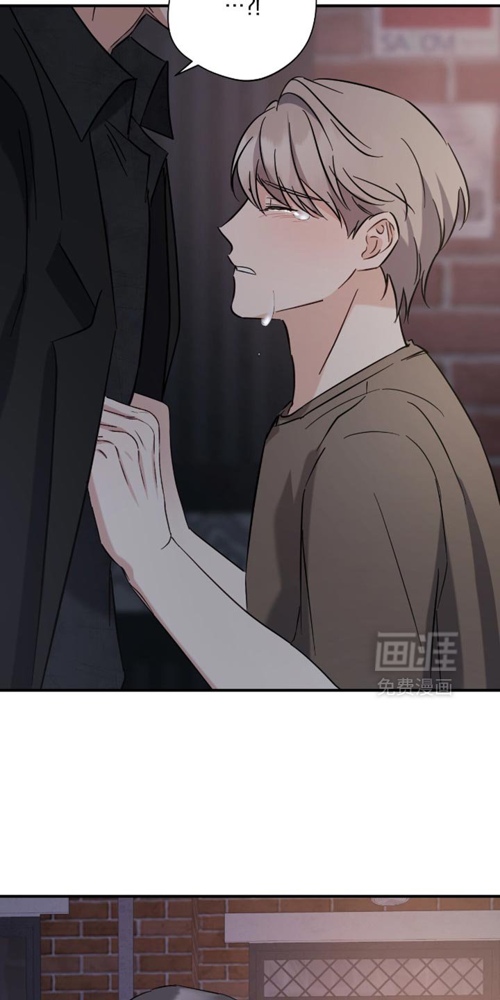第50章：道歉