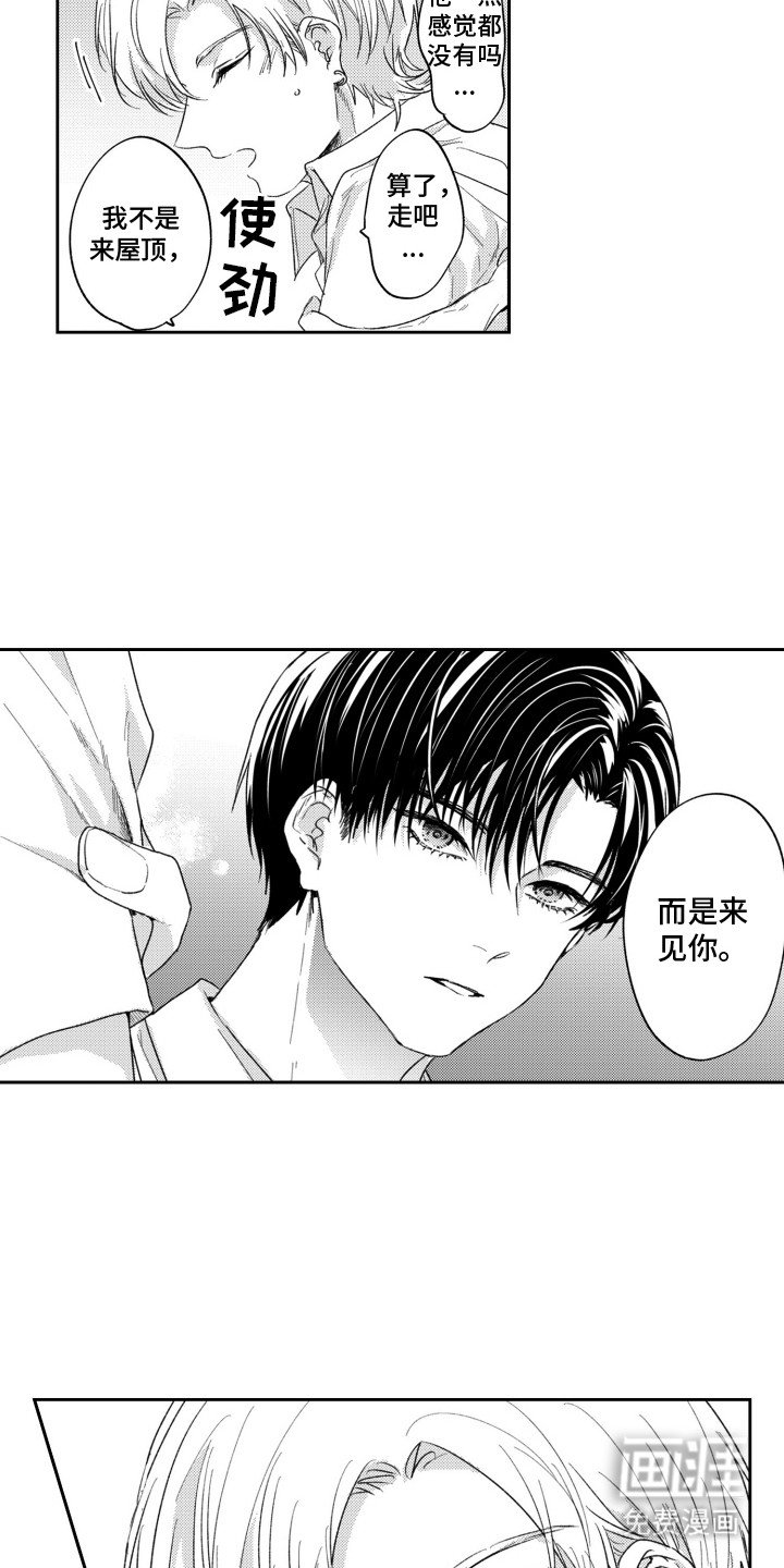 第11章：该做什么