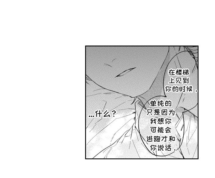 第13章：初体验（完结）