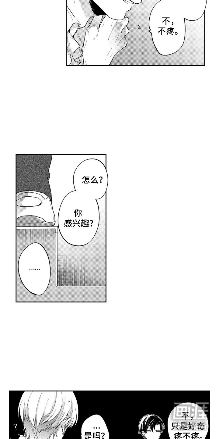 第8章：想试试吗