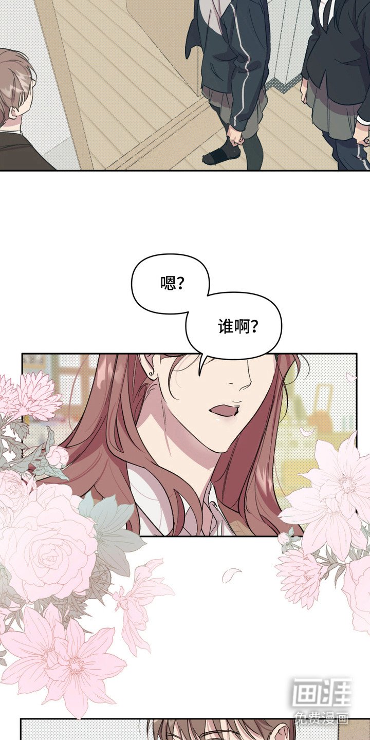 第13章：小美人