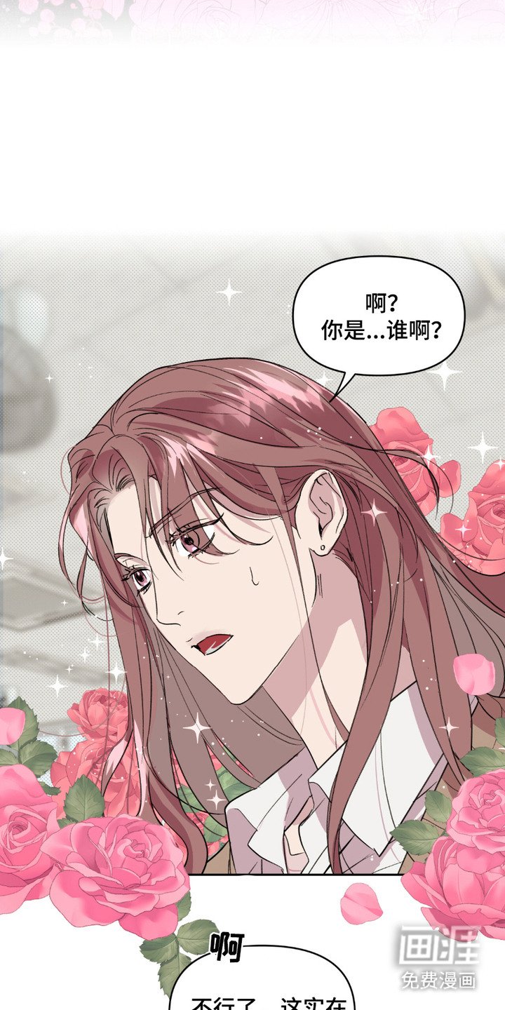 第13章：小美人