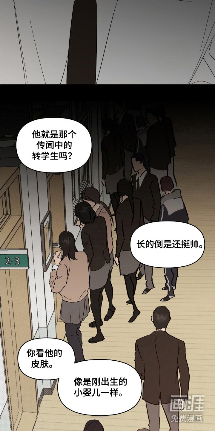 第19章：忘不掉