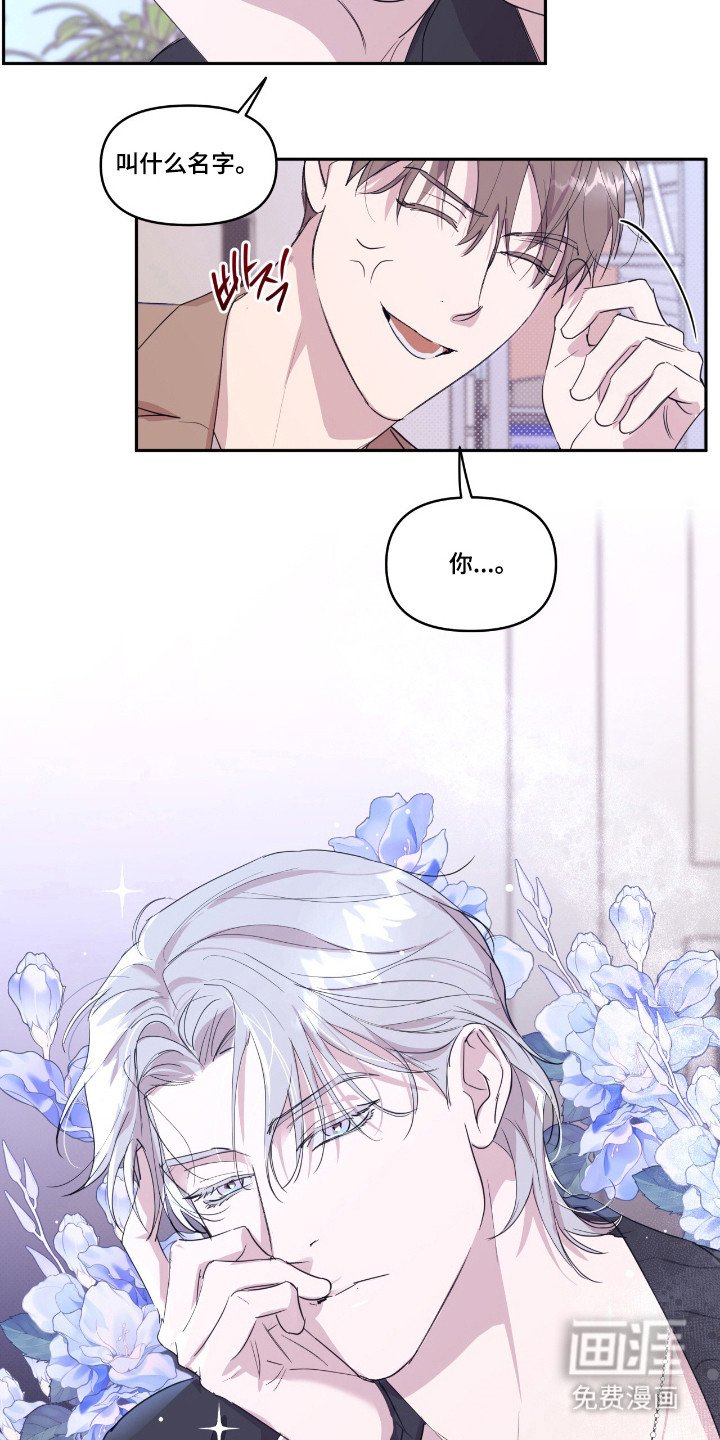 第29章：天降天使