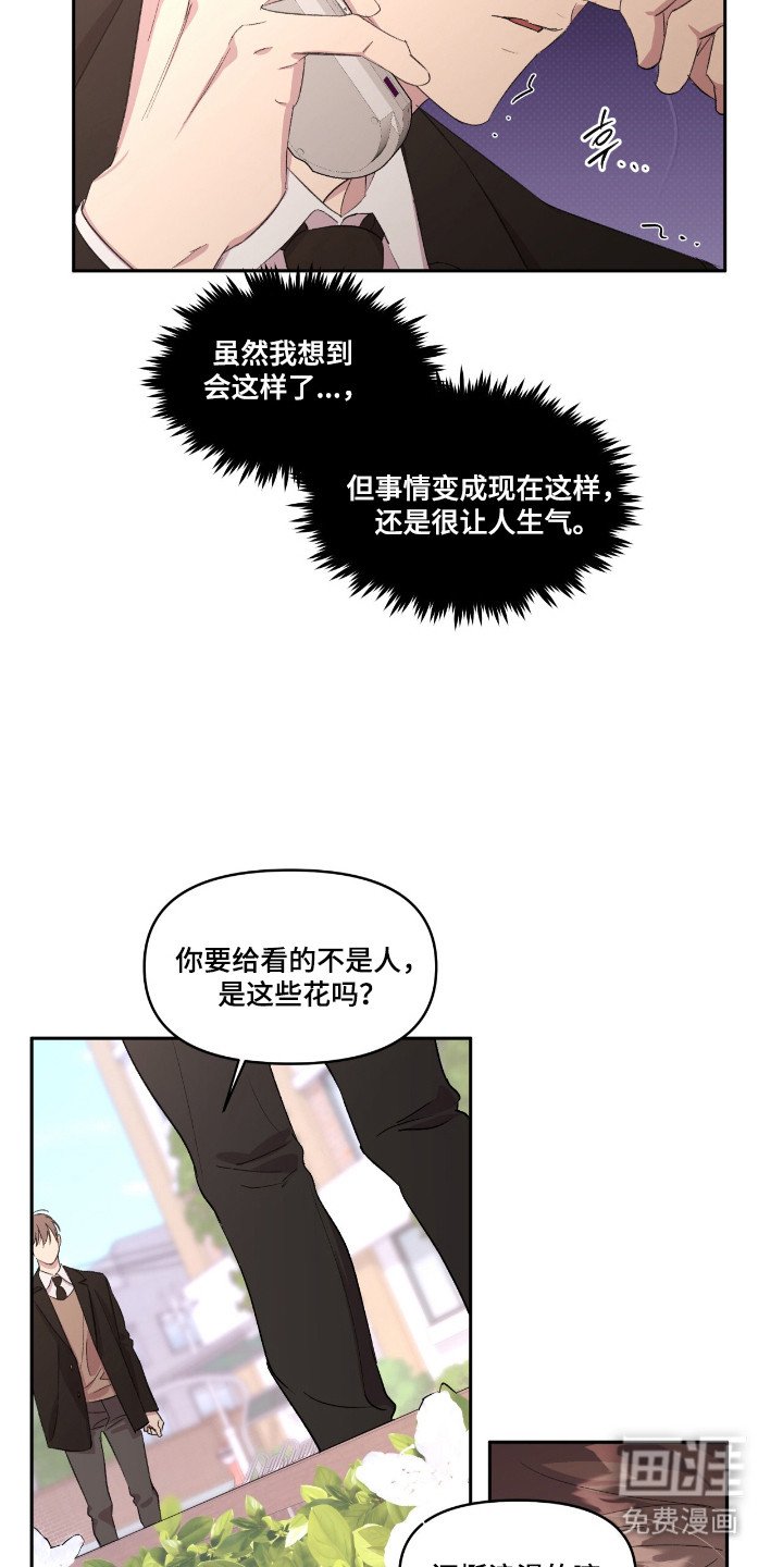 第37章：就是挑衅