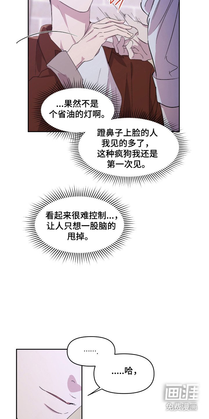第42章：杂食人类