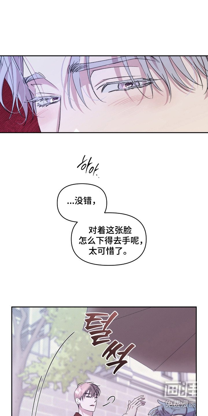 第42章：杂食人类