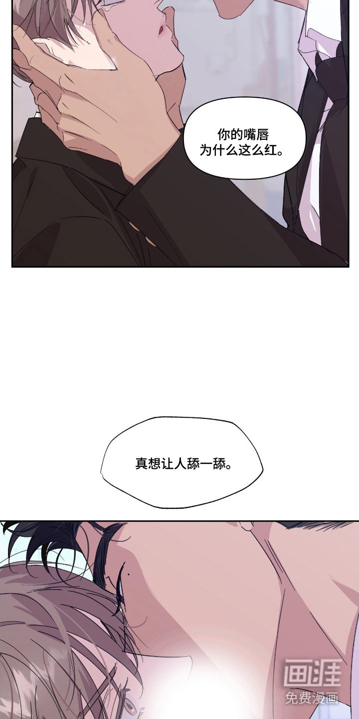 第48章：耀眼存在