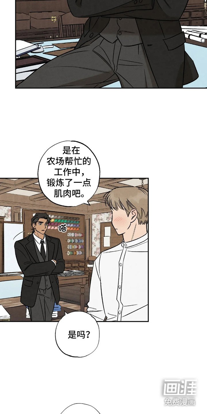 第5章：定制衣服