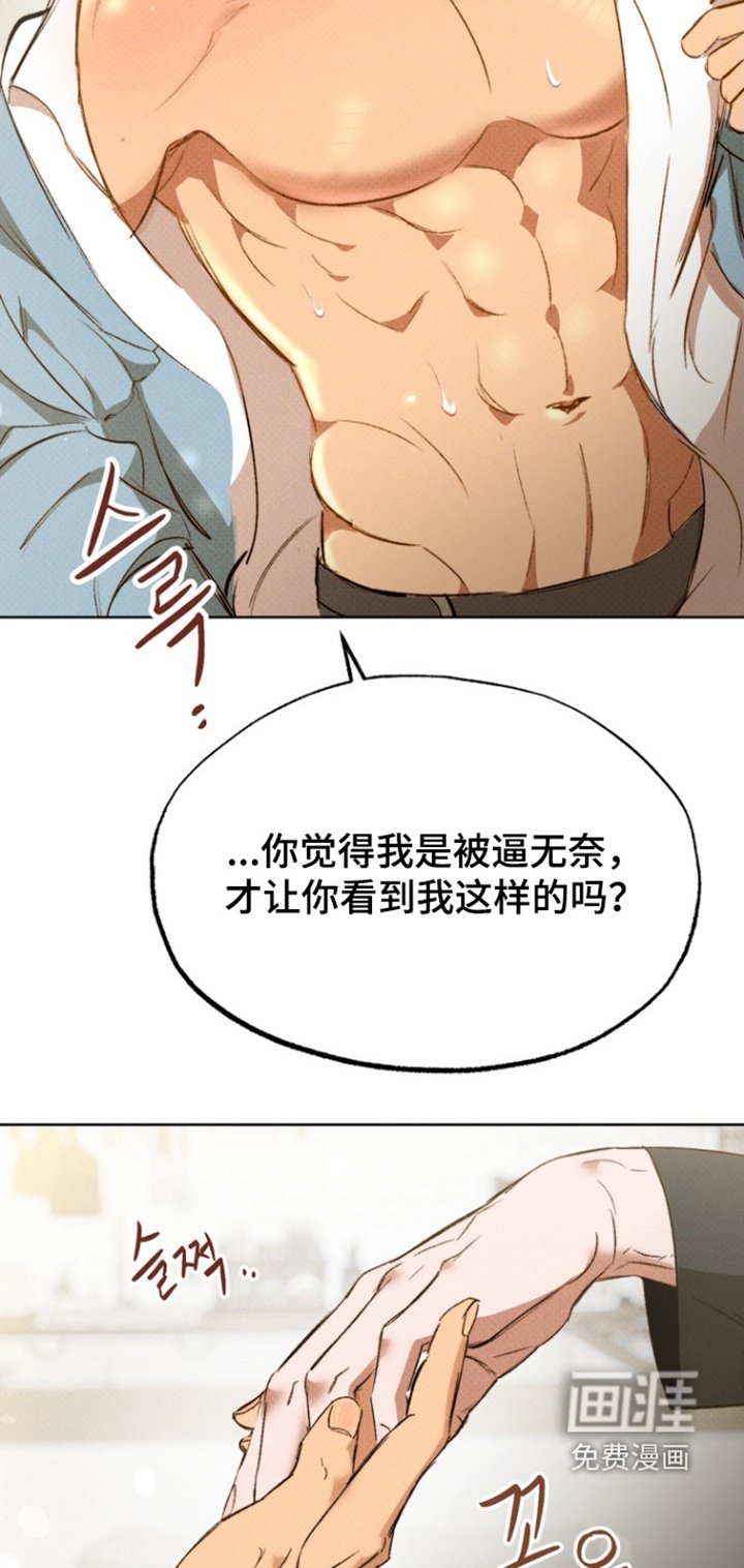 第17章：我的心意