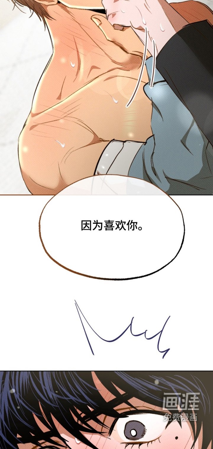 第17章：我的心意
