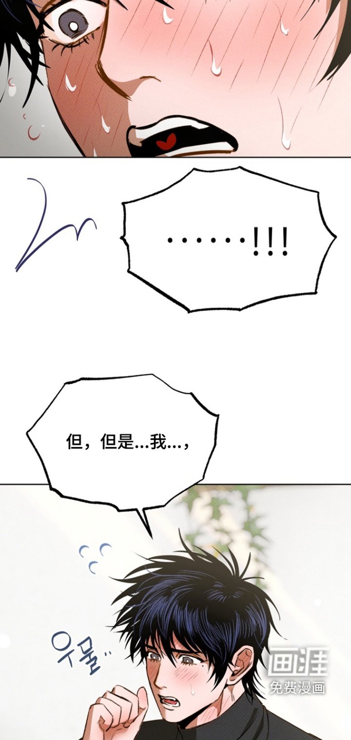 第17章：我的心意