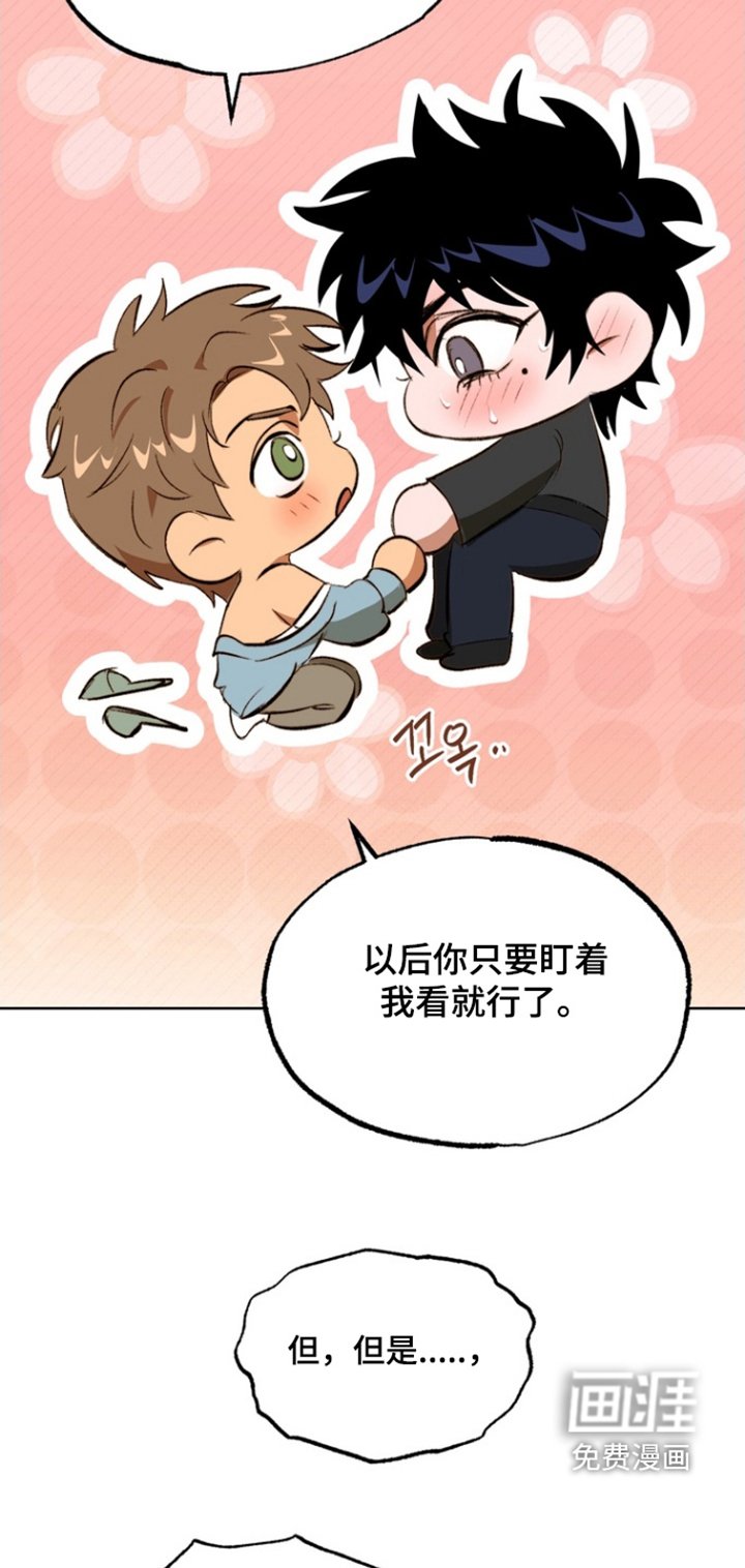 第17章：我的心意