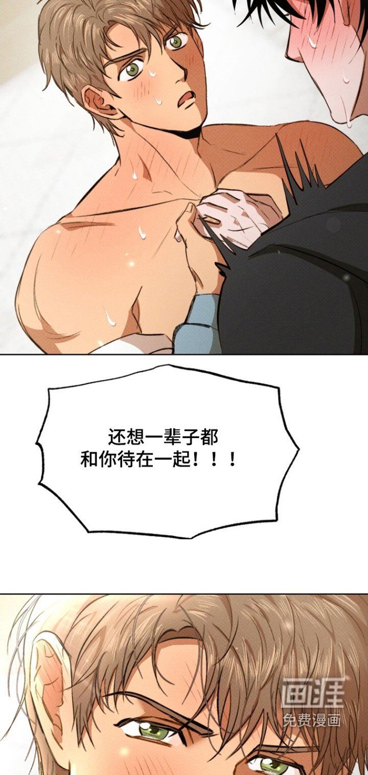 第17章：我的心意