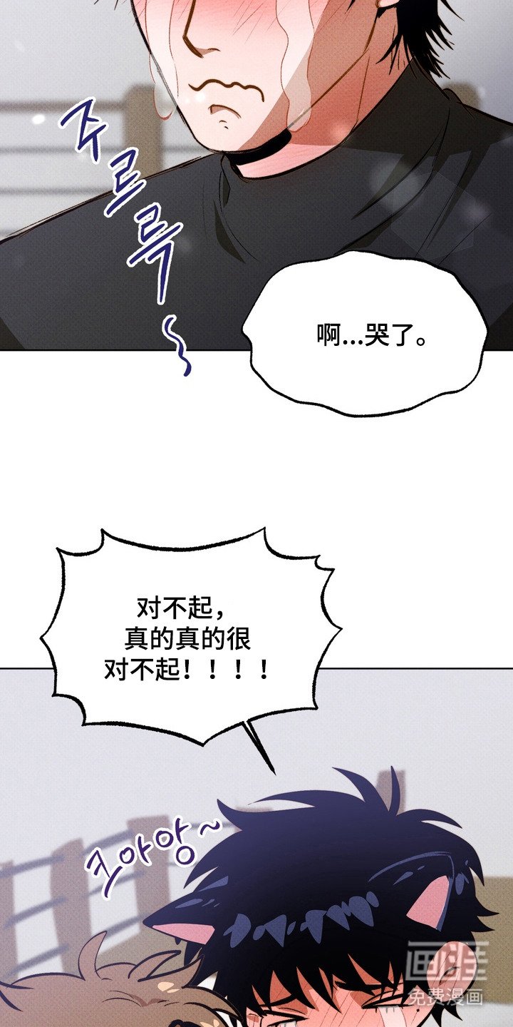 第9章：很好奇