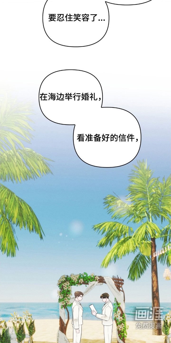 第73章：【番外完结】婚礼