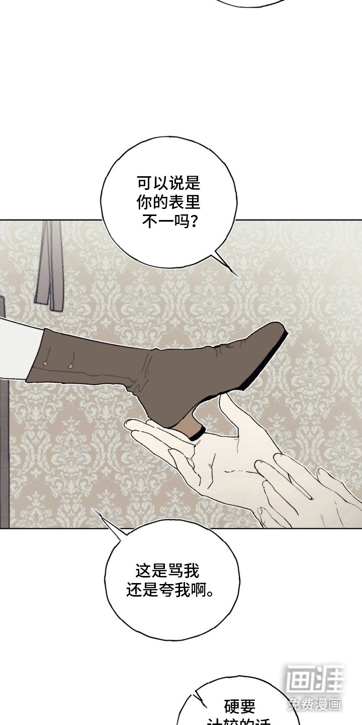 第20章：太过吸引人