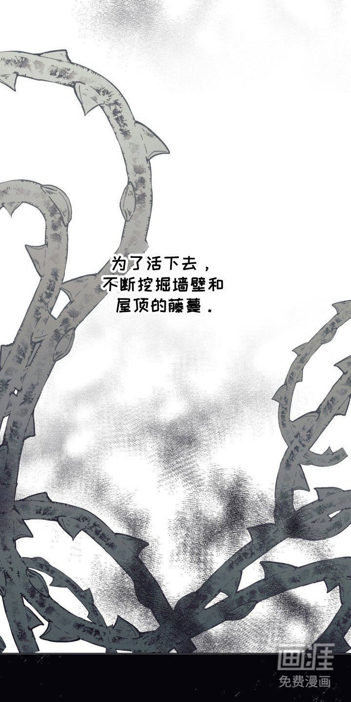 第27章：生命力