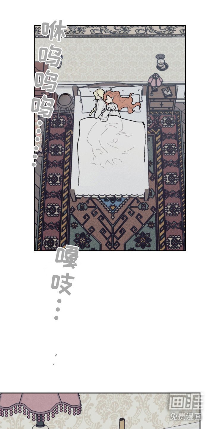 第29章：依恋