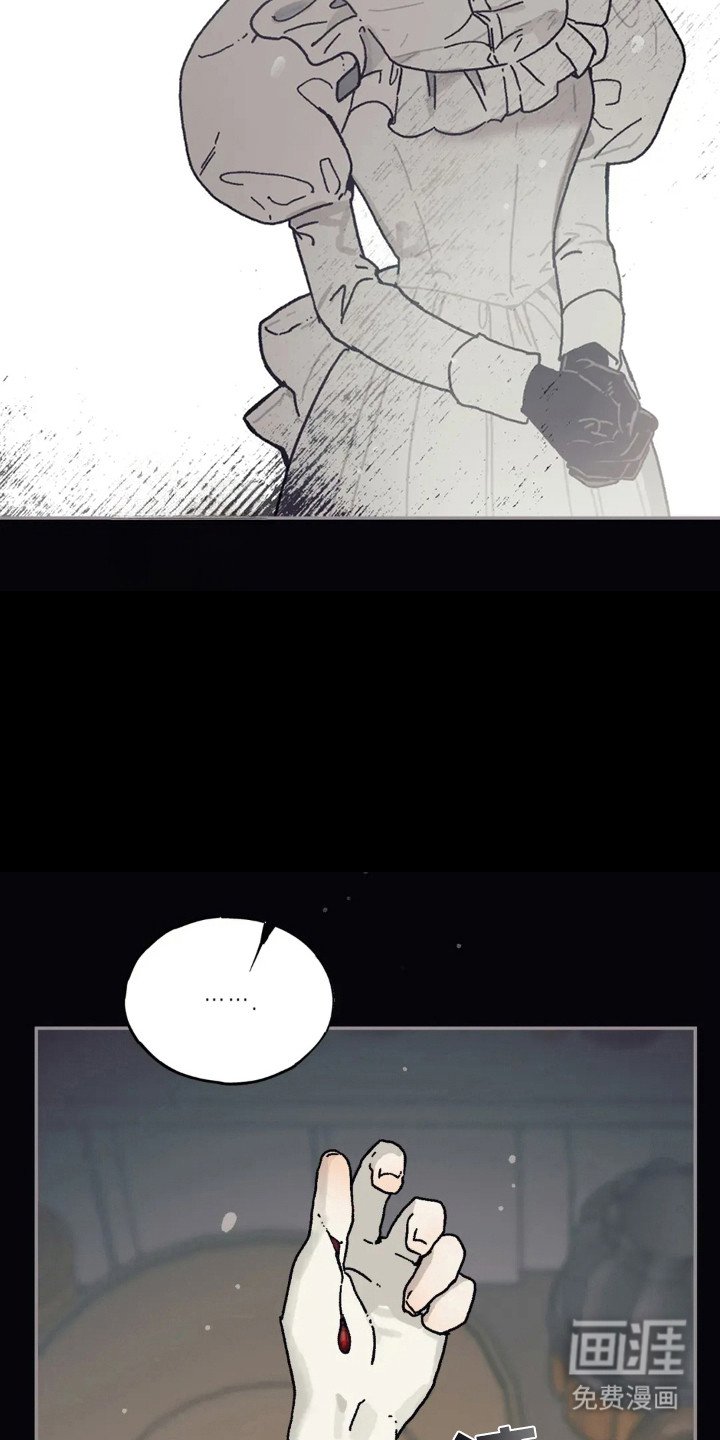 第41章：真实一面