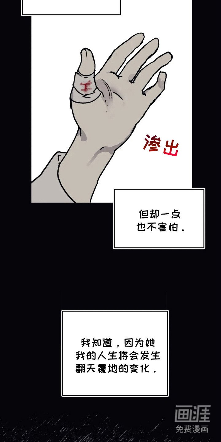 第41章：真实一面