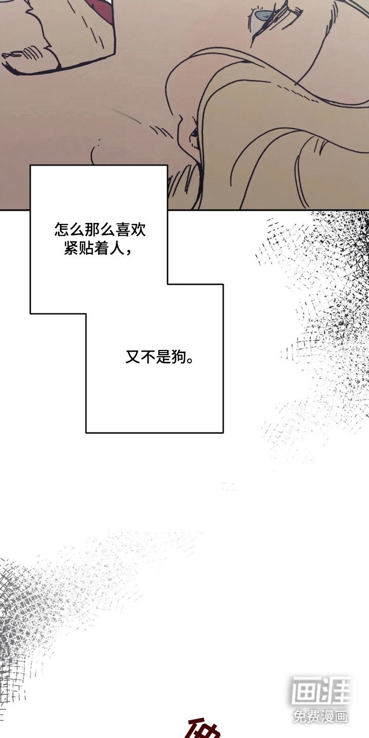 第44章：只要愿意