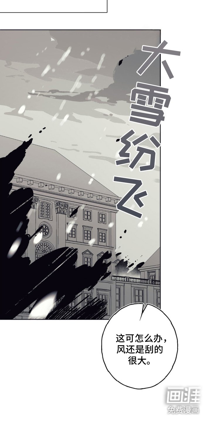 第5章：大雪