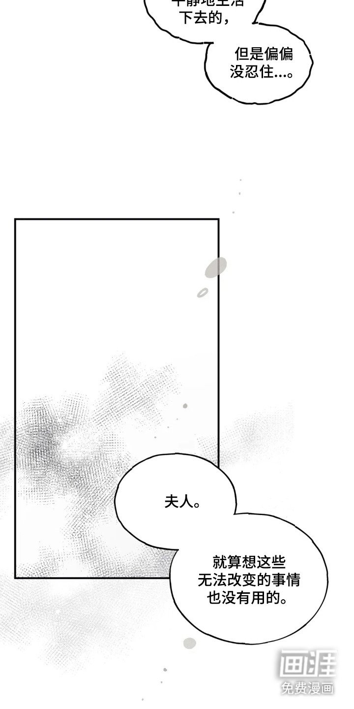 第53章：怀恋