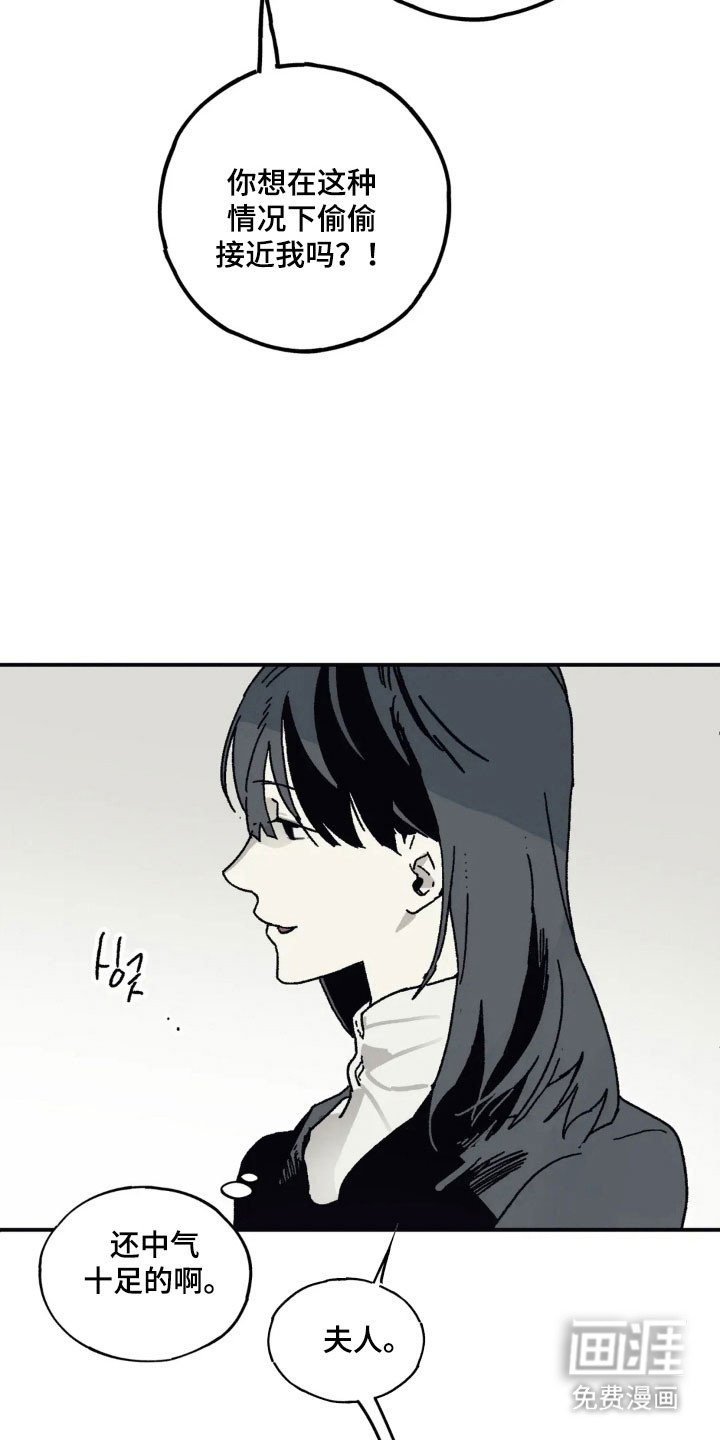第61章：全部搞砸