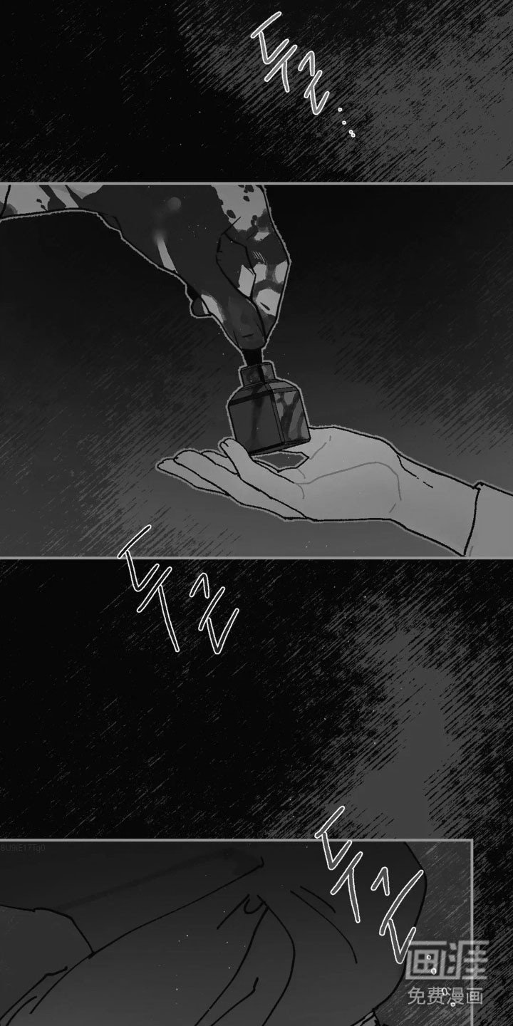 第66章：寻找胸针