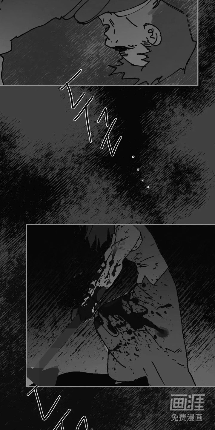 第66章：寻找胸针