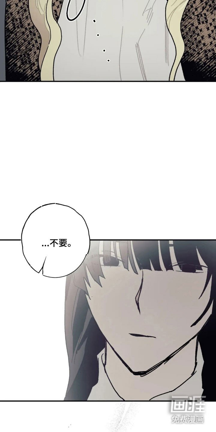 第66章：寻找胸针