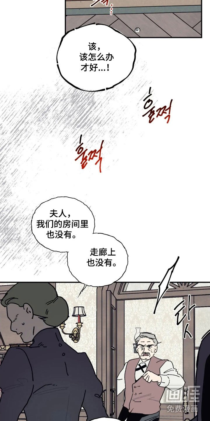 第66章：寻找胸针