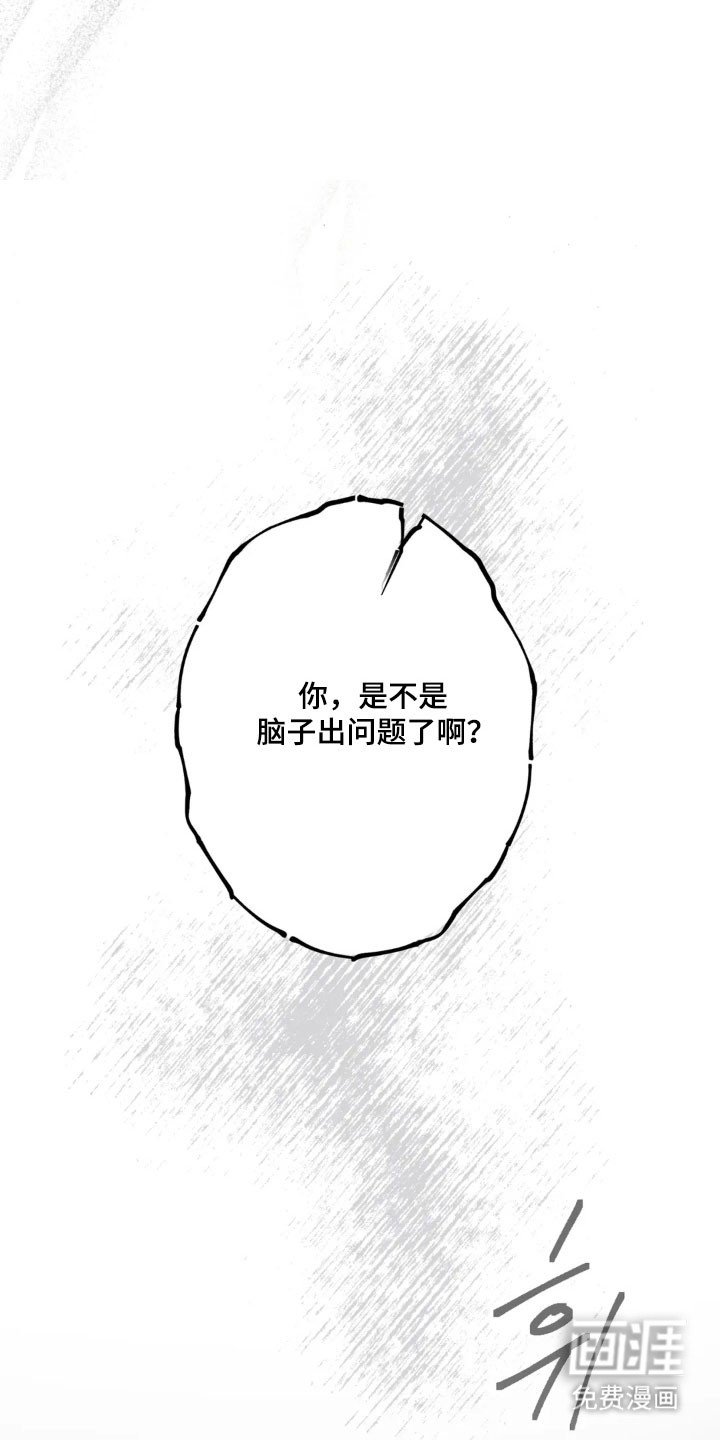第66章：寻找胸针