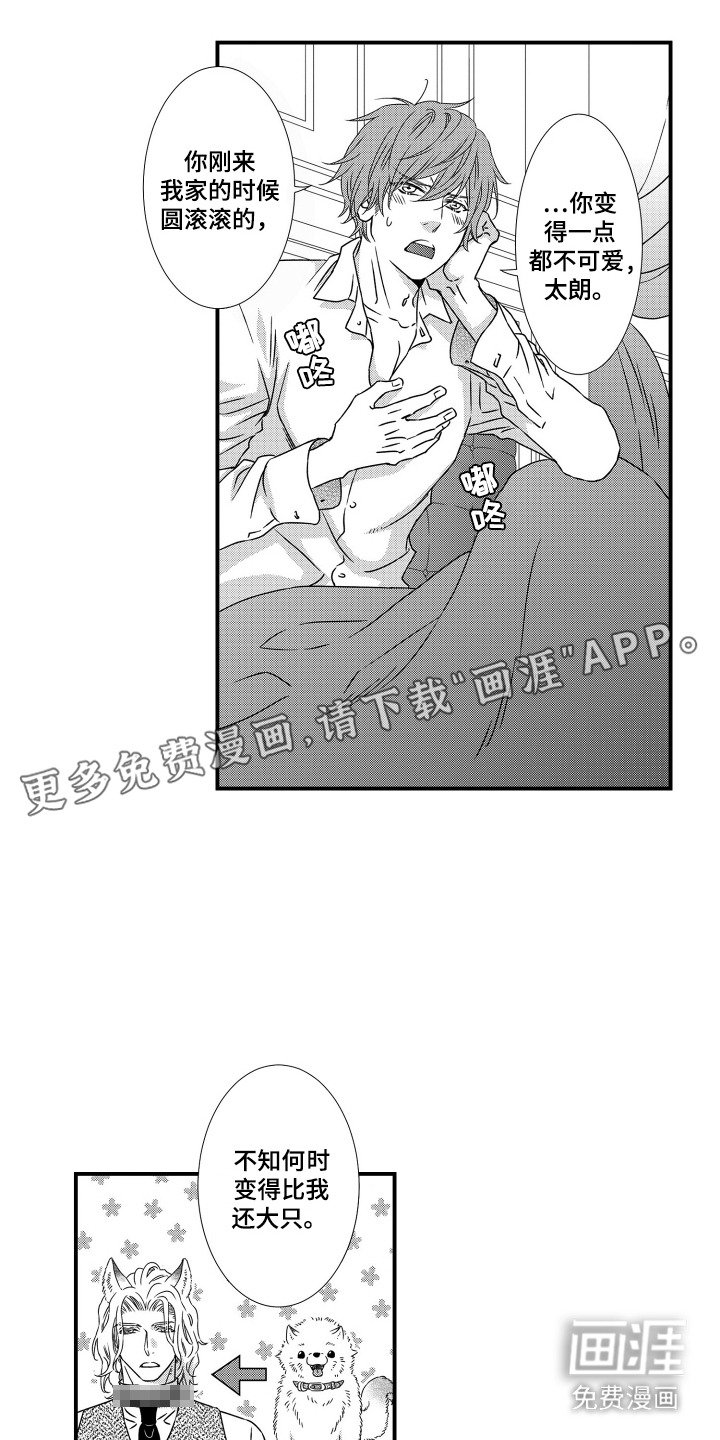 第1章：宠物