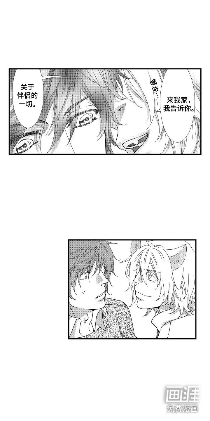 第10章：带走