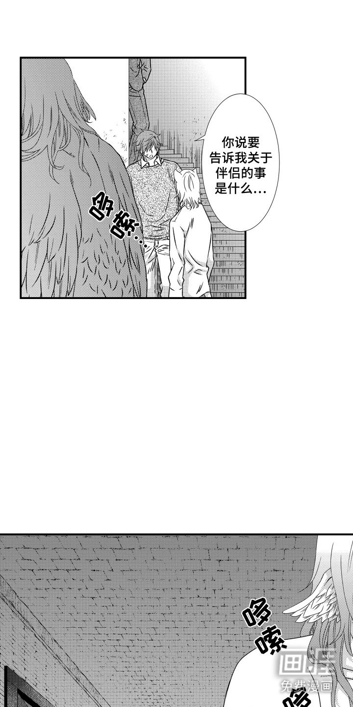 第11章：秘密