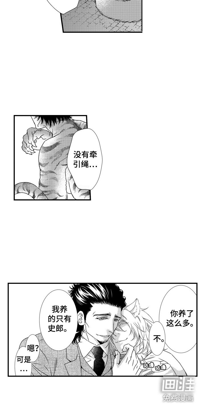 第11章：秘密