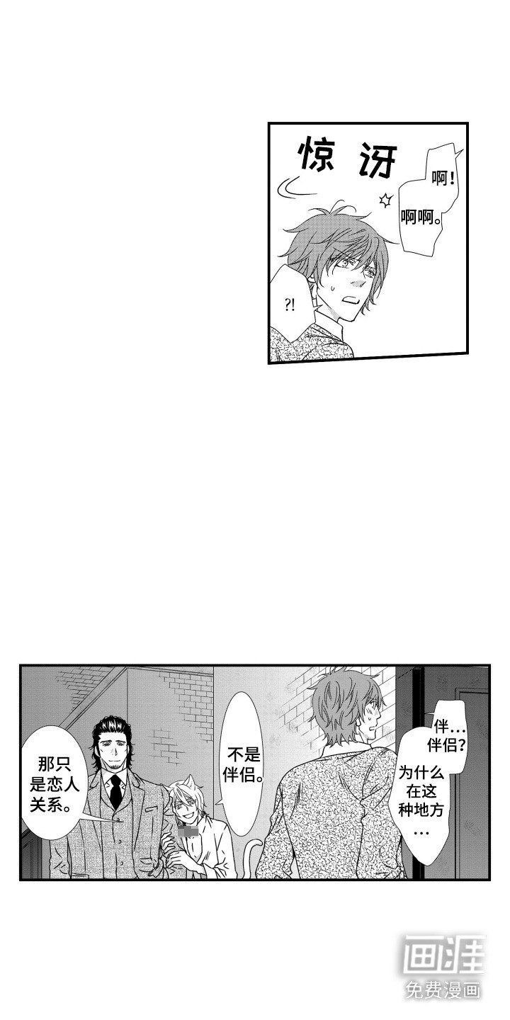 第11章：秘密