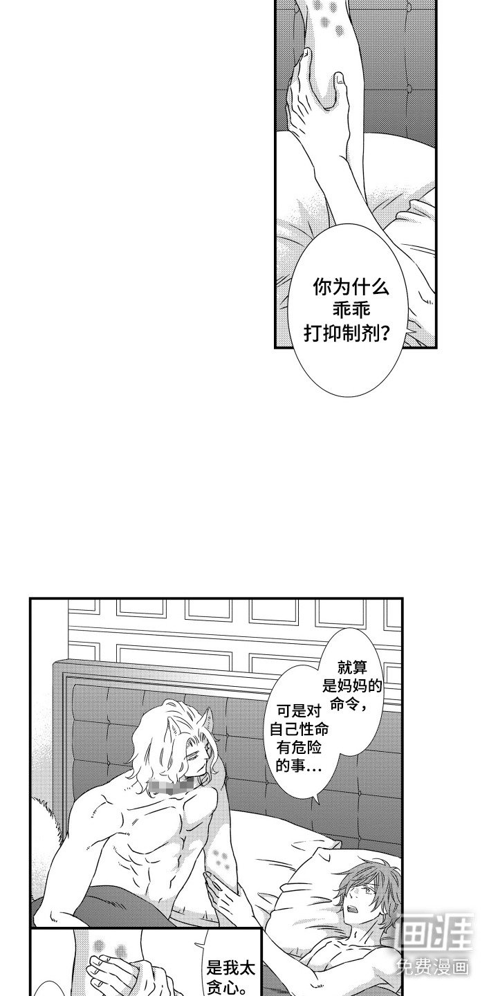 第20章：大获成功