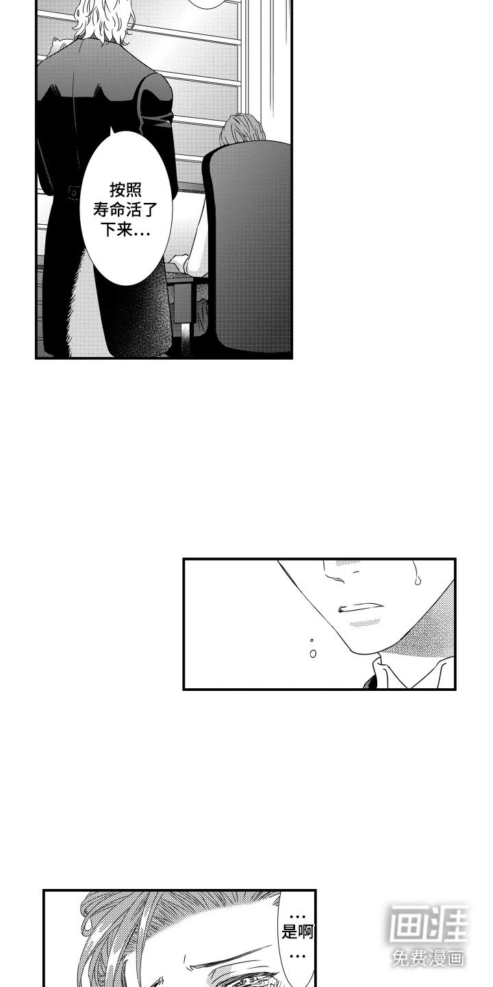 第21章：匿名订单
