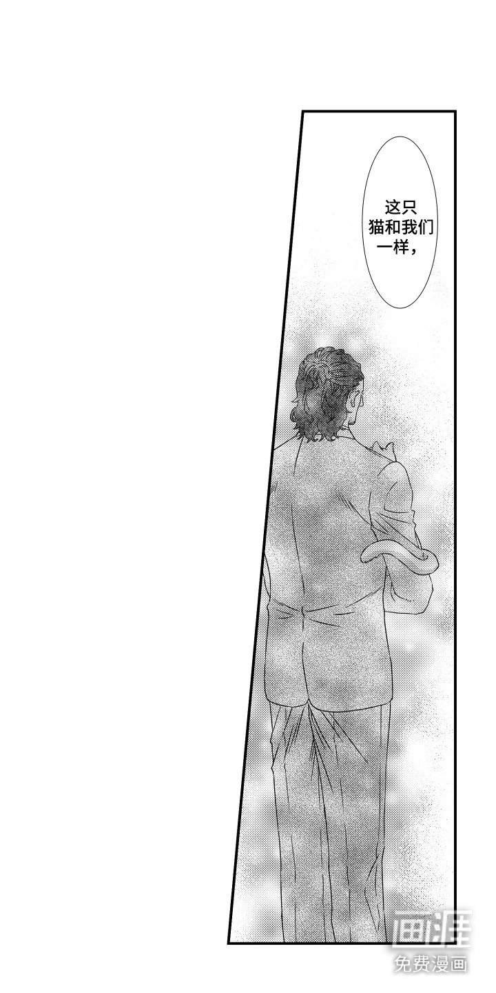 第21章：匿名订单