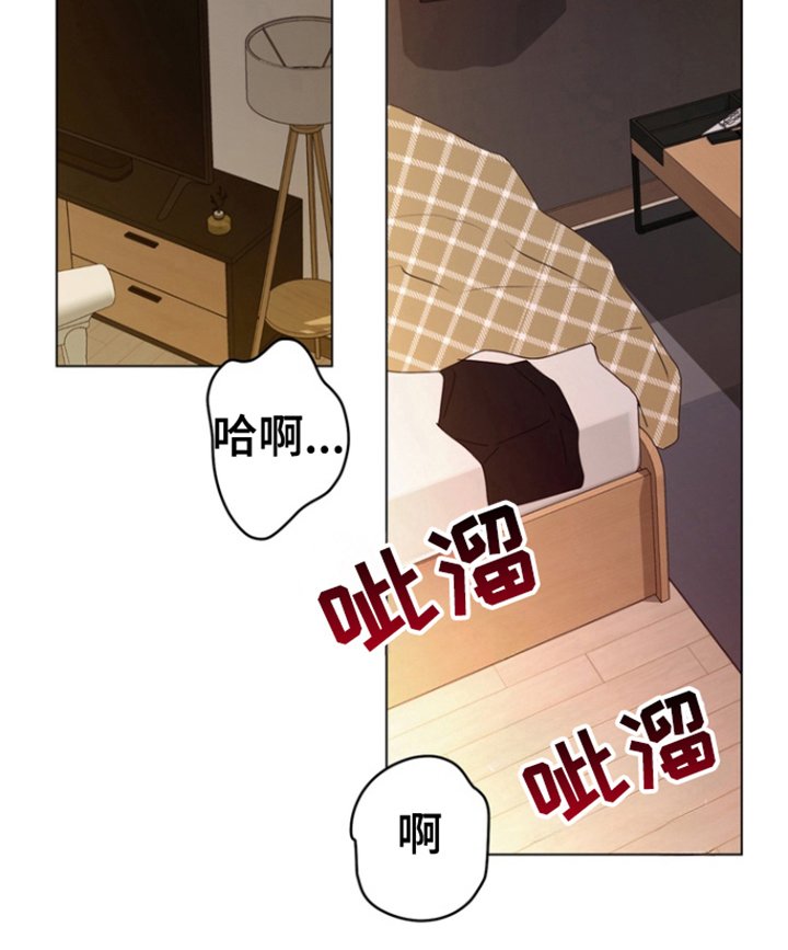第12章：饼干