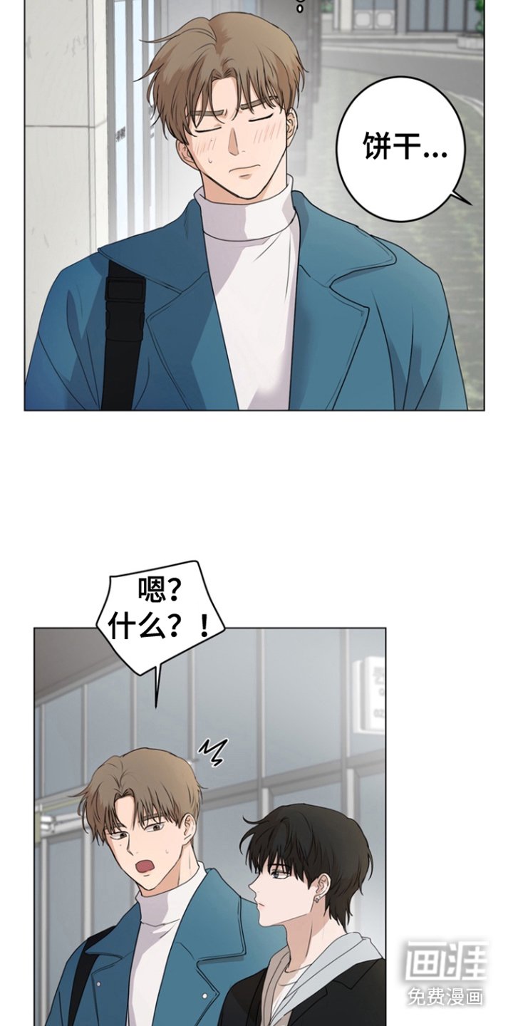 第14章：抵抗力