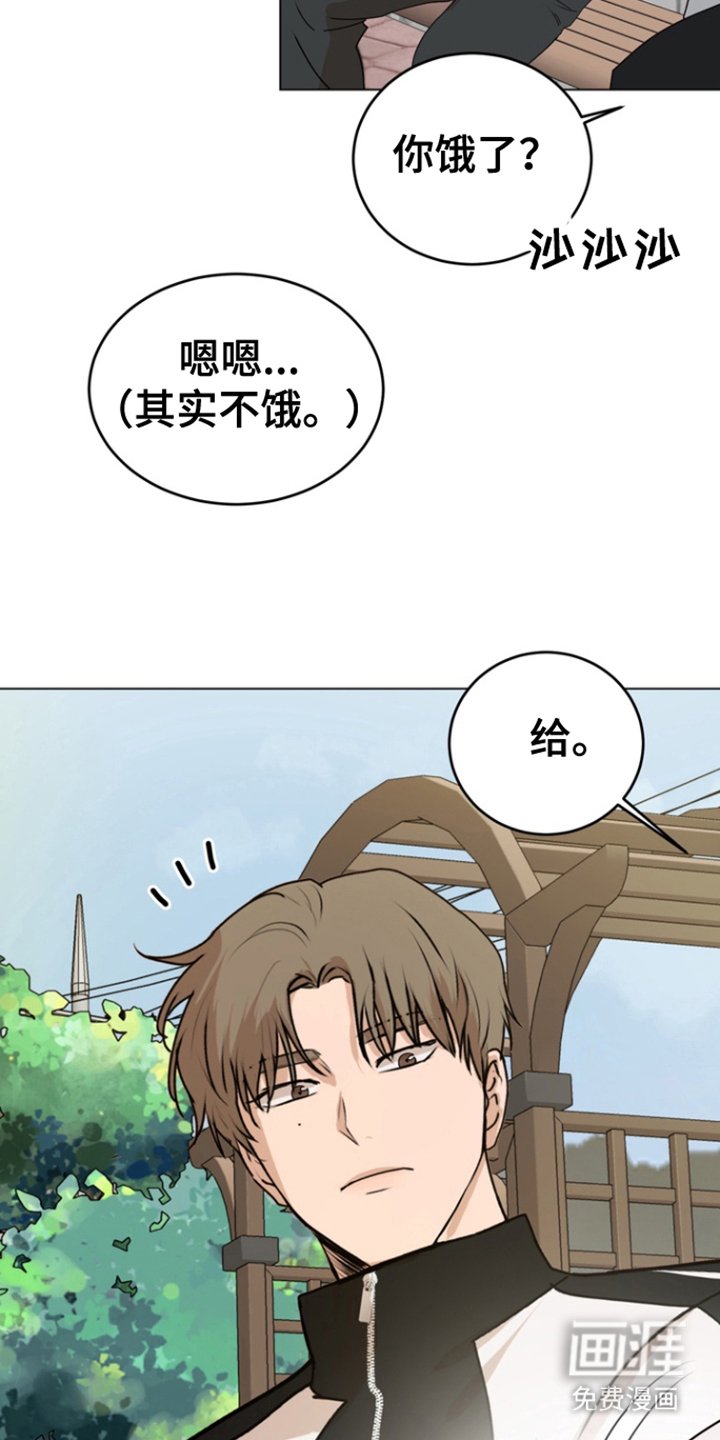 第17章：怀疑对象