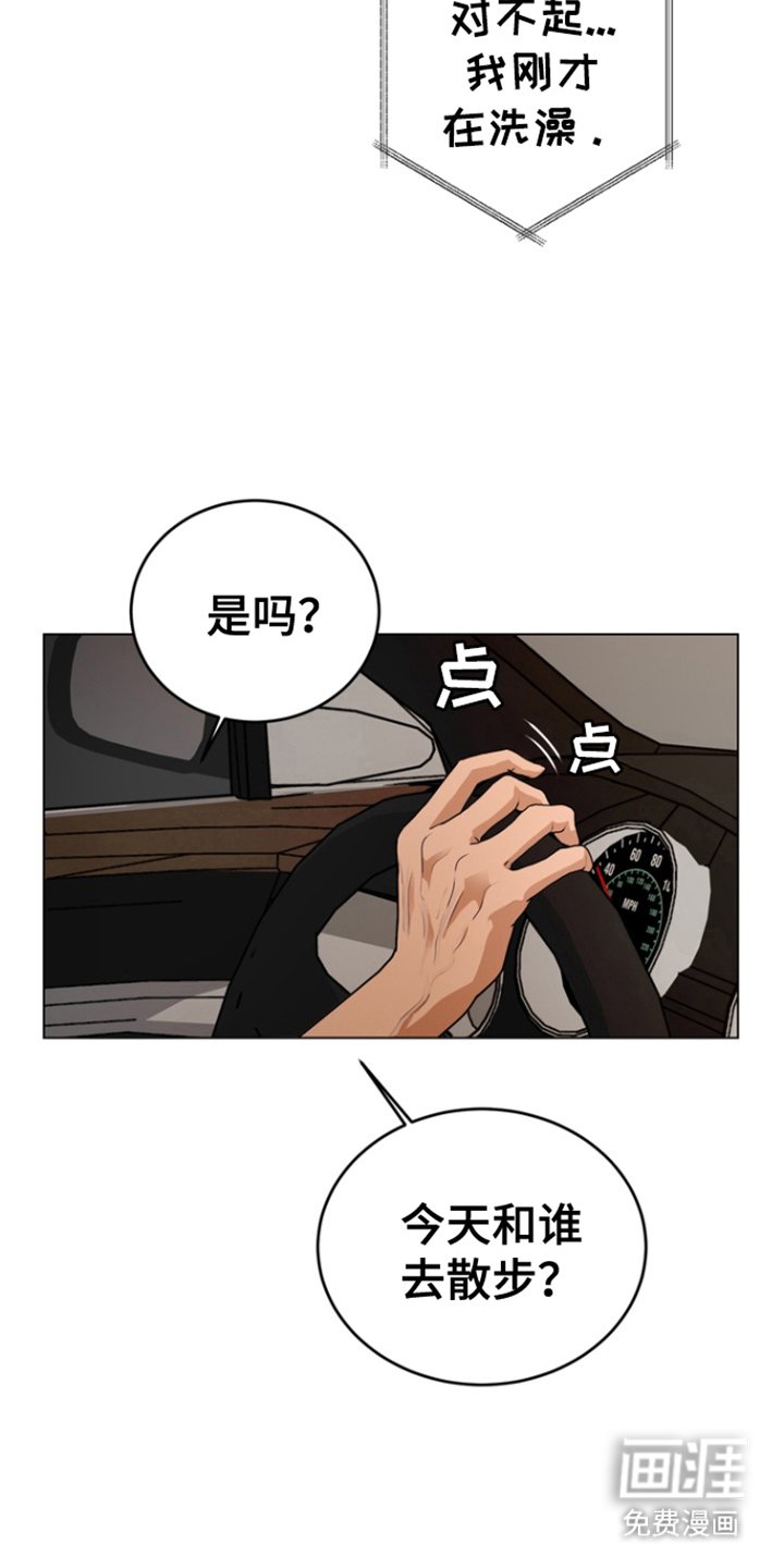 第18章：命令