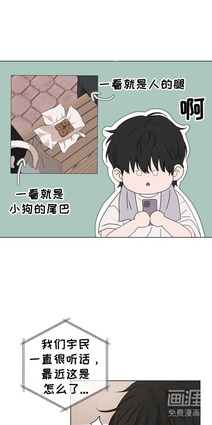 第18章：命令