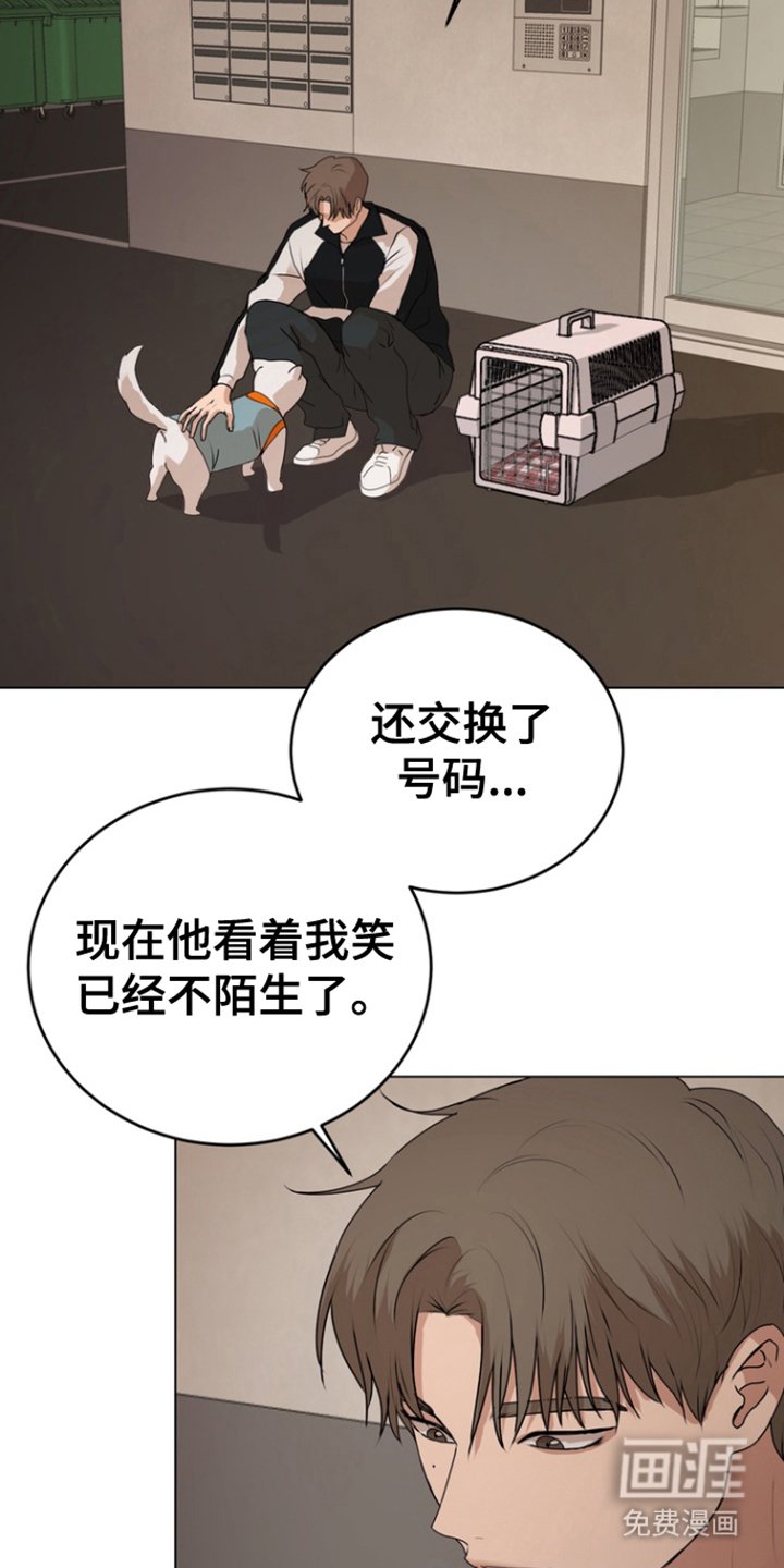 第18章：命令